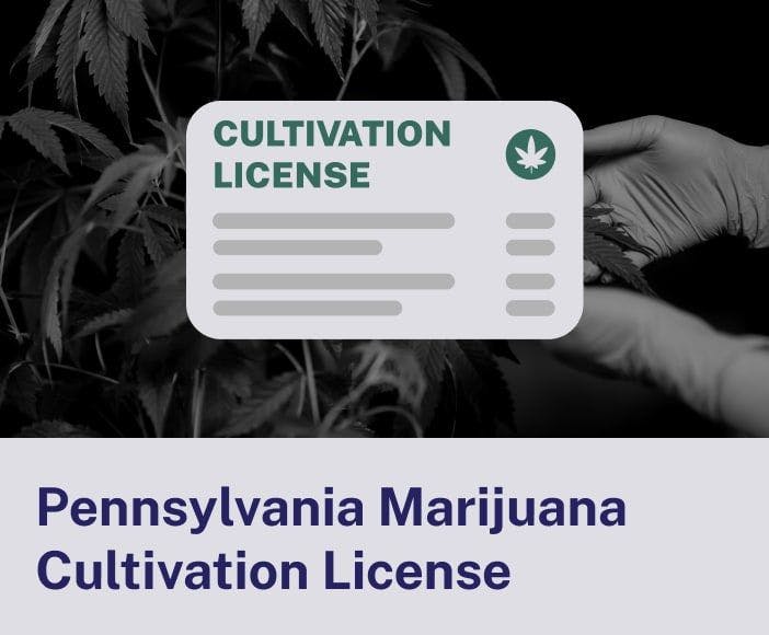 Pennsylvania Marijuana Cultivation License
