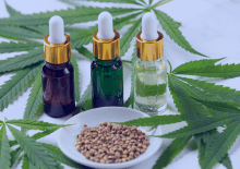 Pennsylvania Active Medical Marijuana Patients in 2025.png